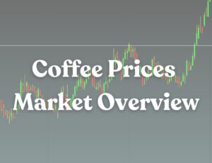 Read more about the article Navigating Coffee Price Volatility: Insights from Origin