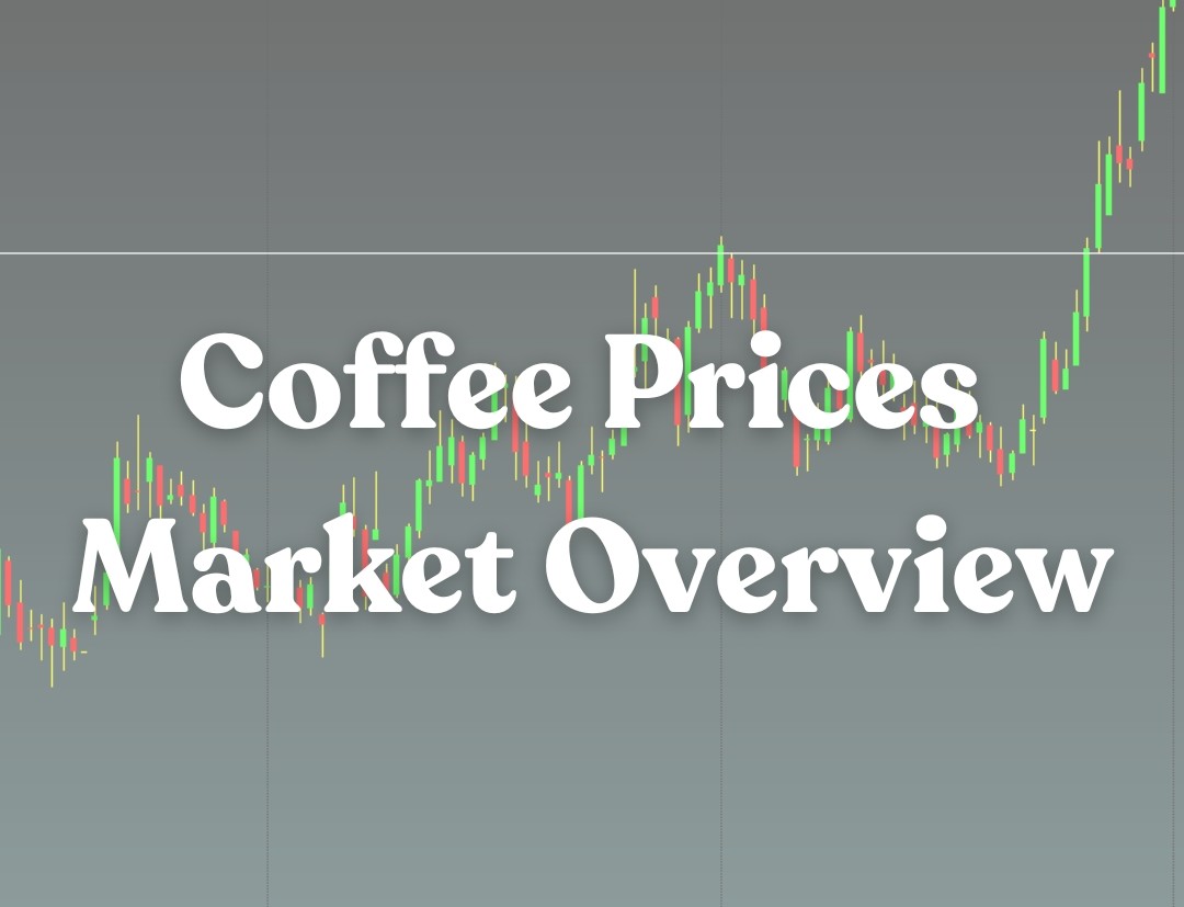 You are currently viewing Navigating Coffee Price Volatility: Insights from Origin